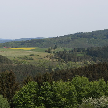 Die Heimat Landschap